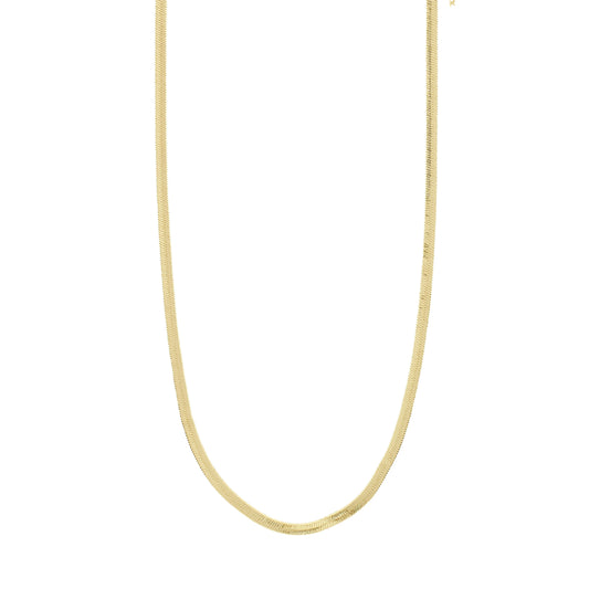 JOANNA Flat Snake Chain Necklace Gold-Plated